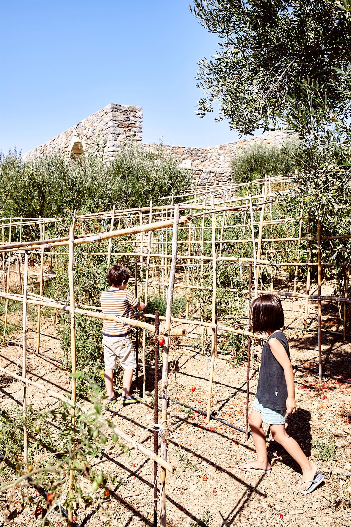 Ferme de Peskesi, Crète, Grèce