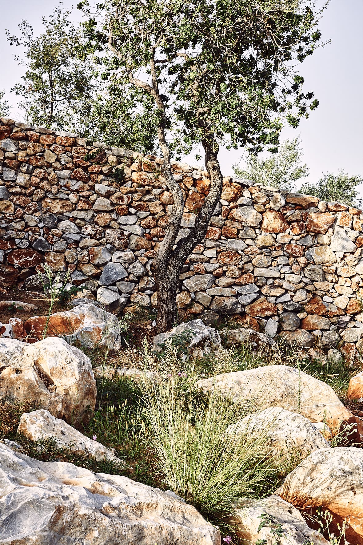 Villa Monolithoi à Pigi, Péloponnèse, Grèce