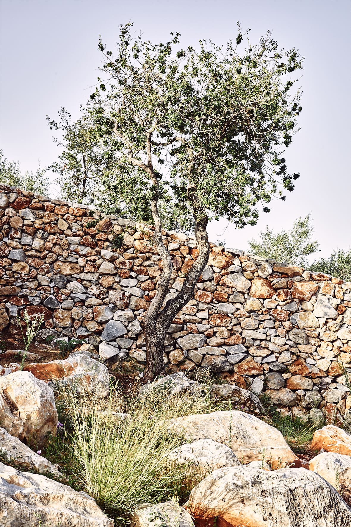 Les villas Monolithoi dans le Magne, Grèce