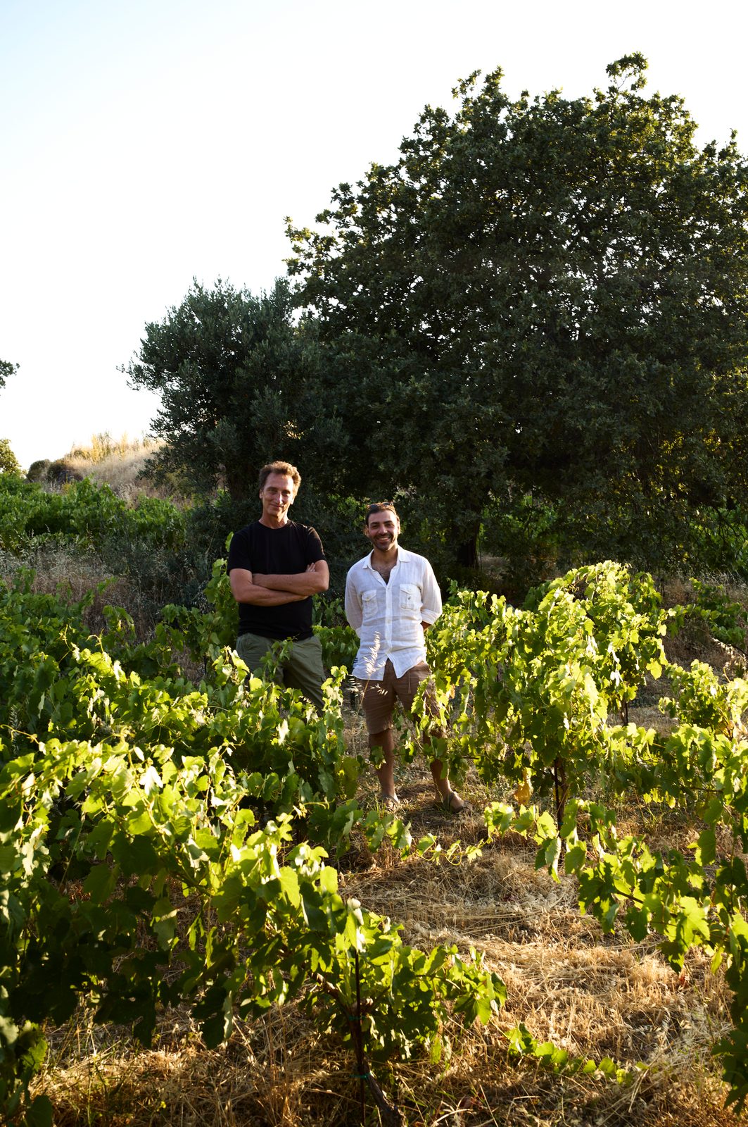 Nicolas et Federico devant les vignes d'Emborio