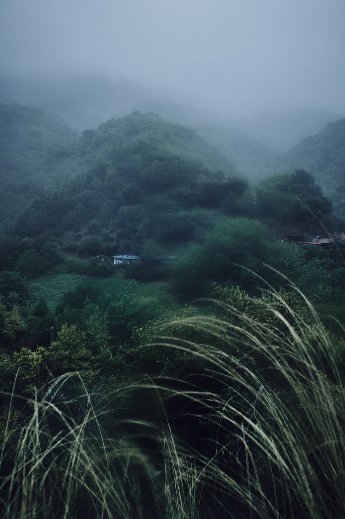 Forêt à Langada