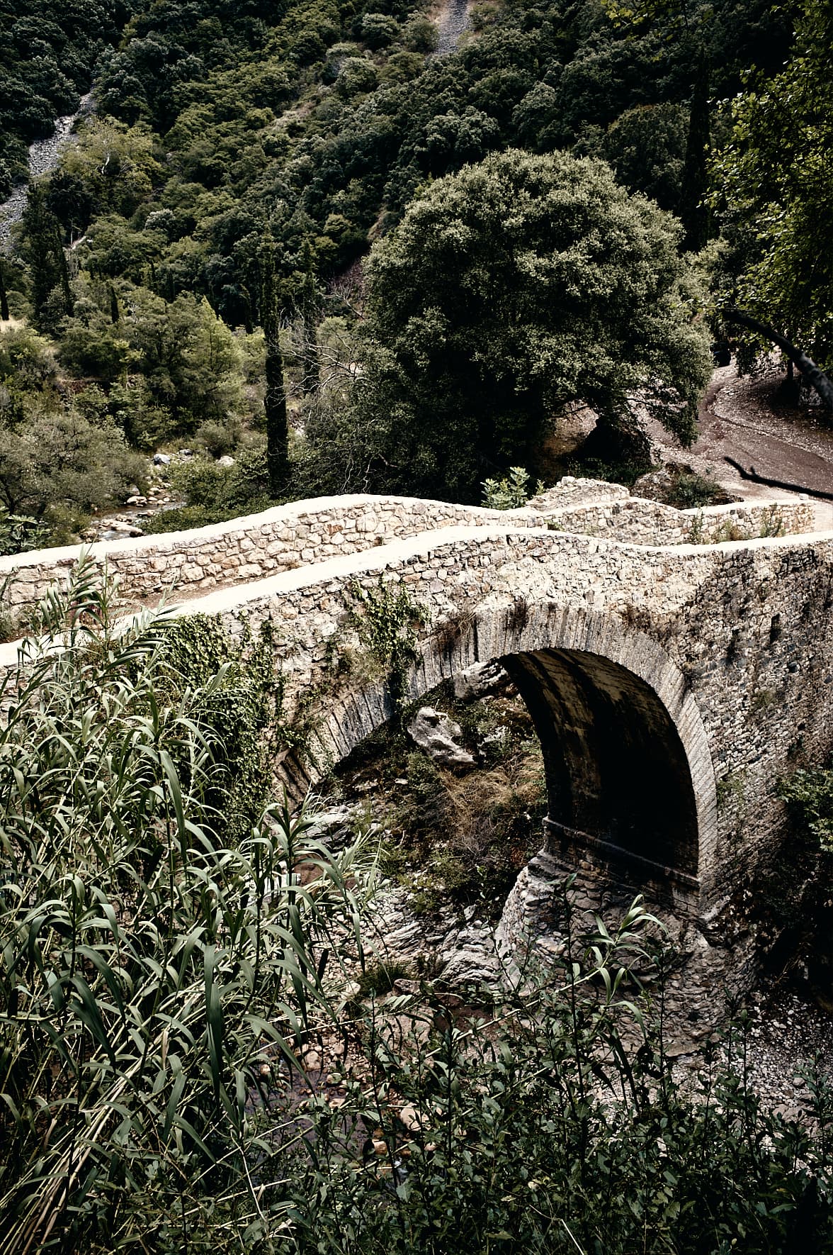 Pont dans les gorges de Neda