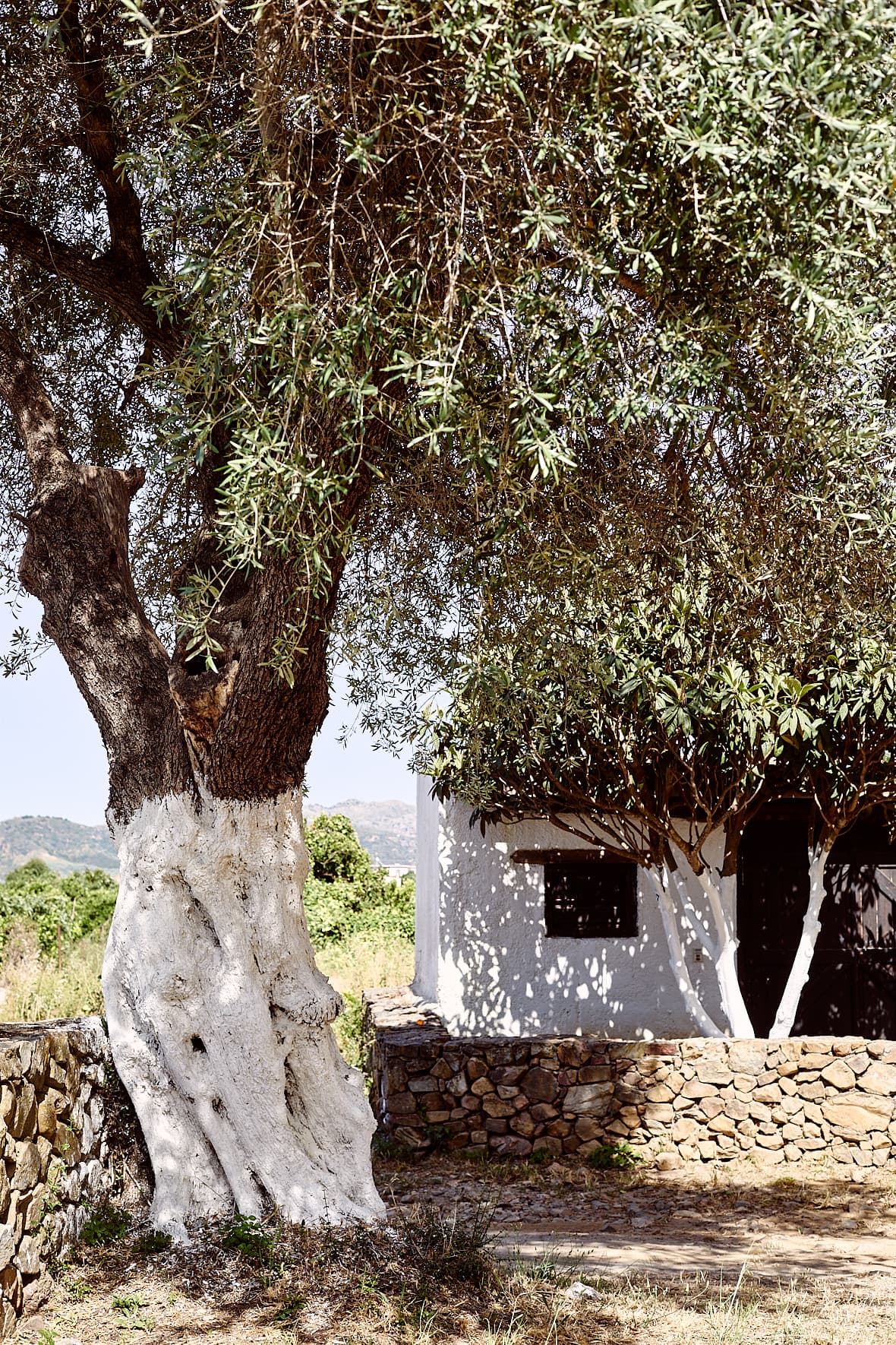 Manousakis Winery en Crète
