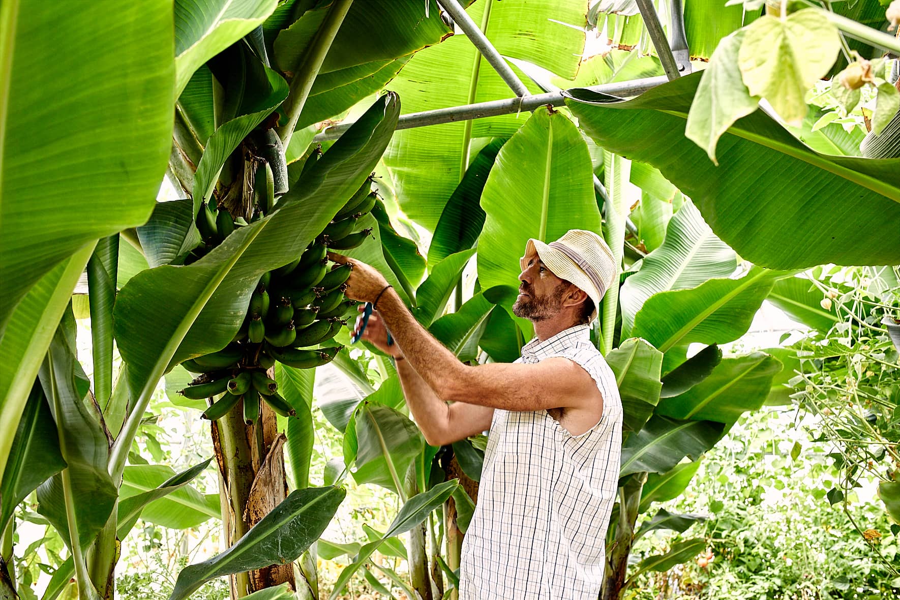 Kamarantho Organic Farm à Paros, Cyclades, Grèce