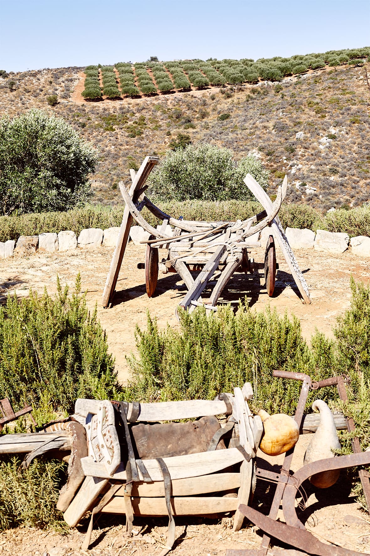 Ferme Peskesi, Harasso, Crète