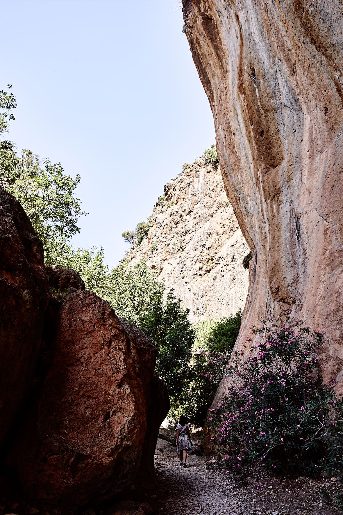 Randonnée vers les gorges de Lissos, Crète