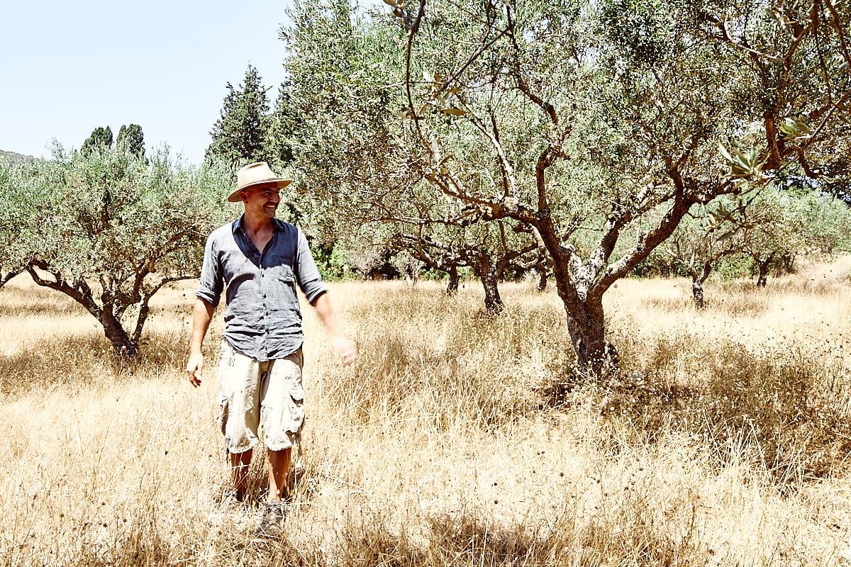 Harry Tzortzopoulos, producteur d'huile d'olive, Cythère, Grèce