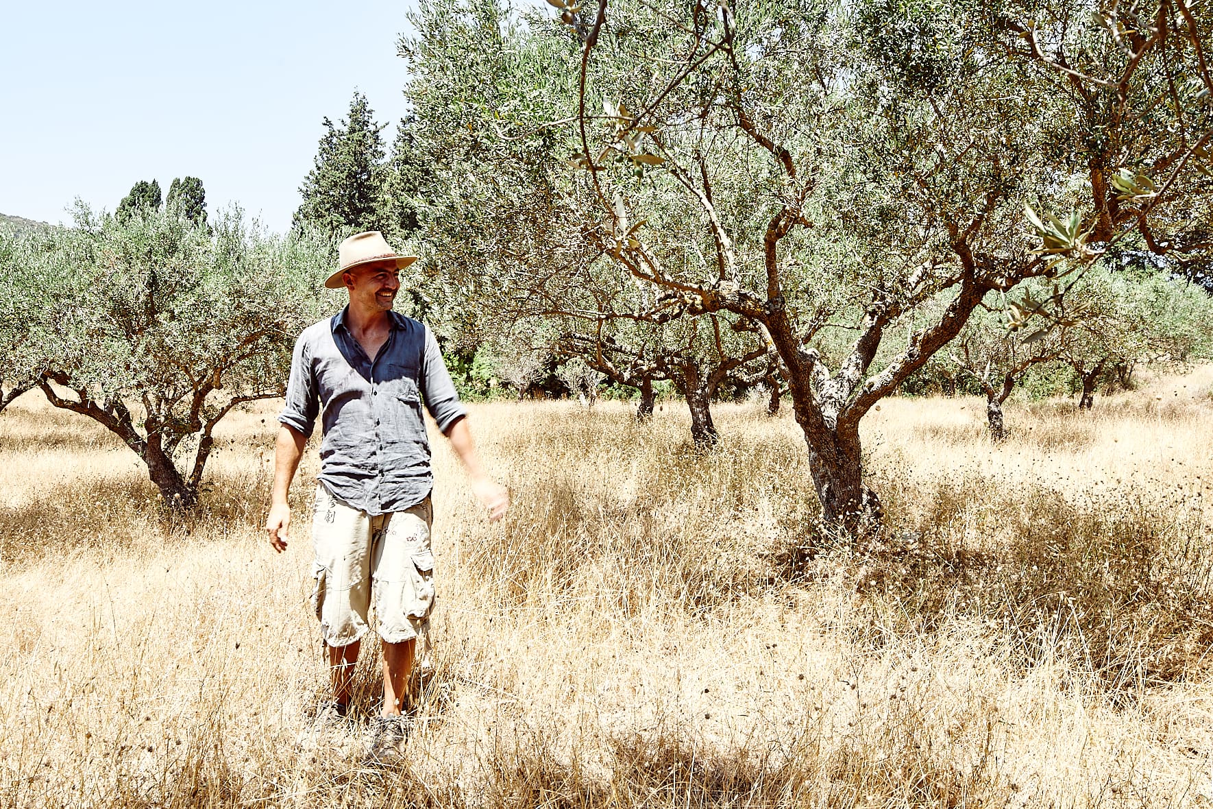 Harry Tzortzopoulos, producteur d'huile d'olive