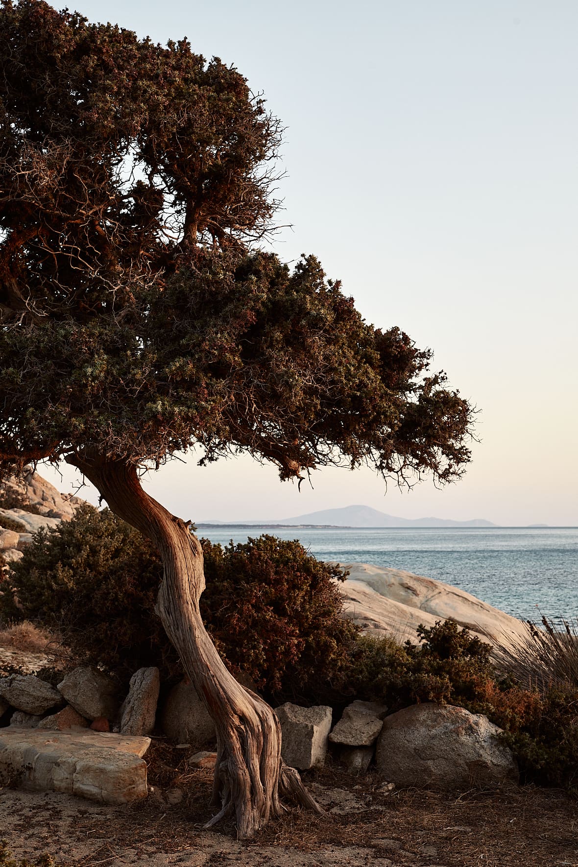 Côte de Naxos