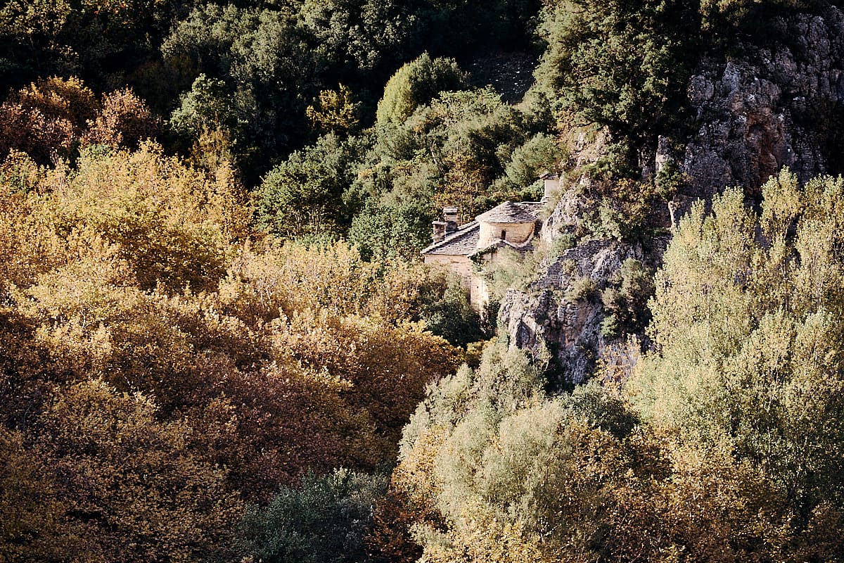 Forêt de platanes sur le Voïdomatis et monastère de Panagia Spileotissa | Zagori, Epire