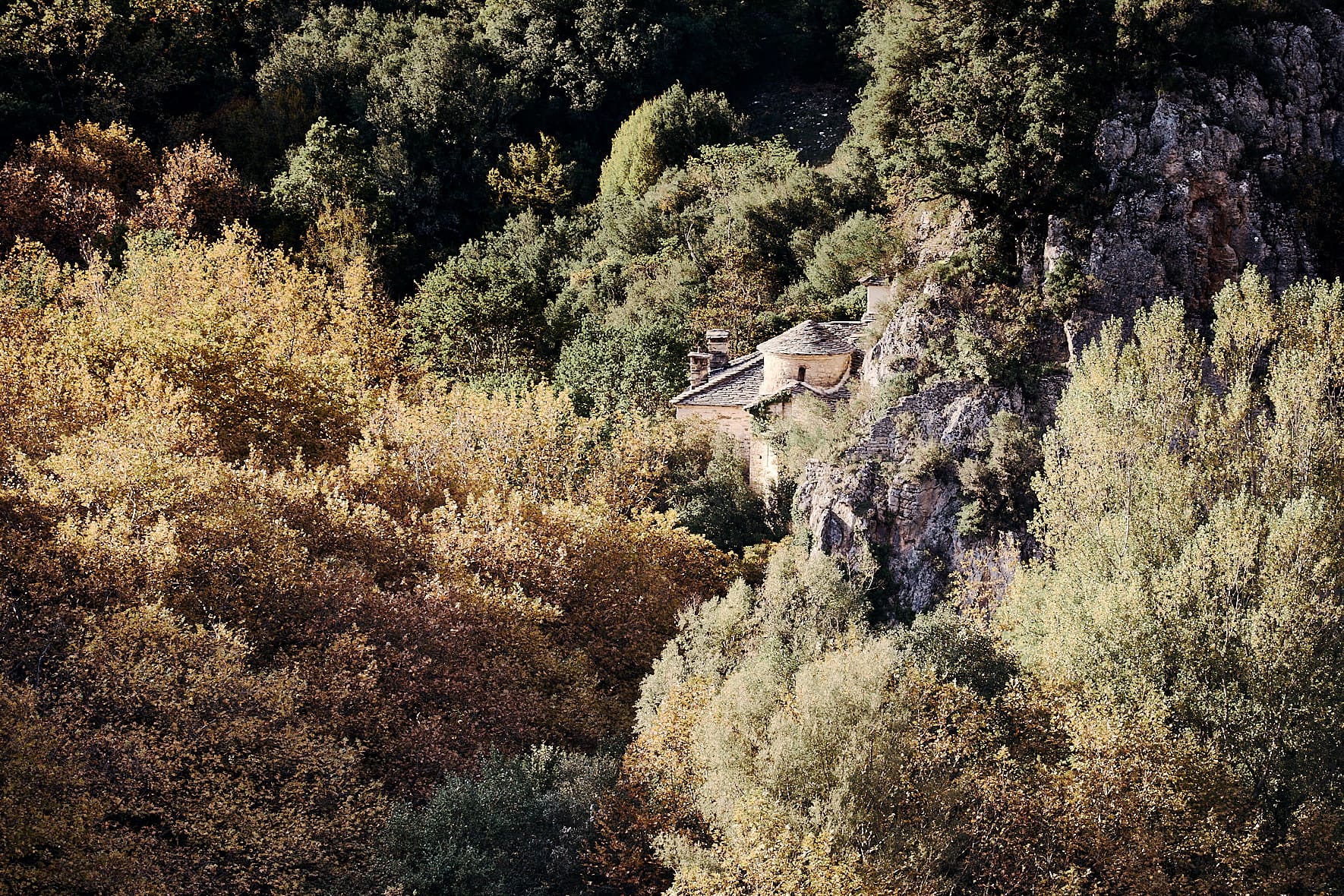 Forêt de platanes sur le Voïdomatis et monastère de Panagia Spileotissa