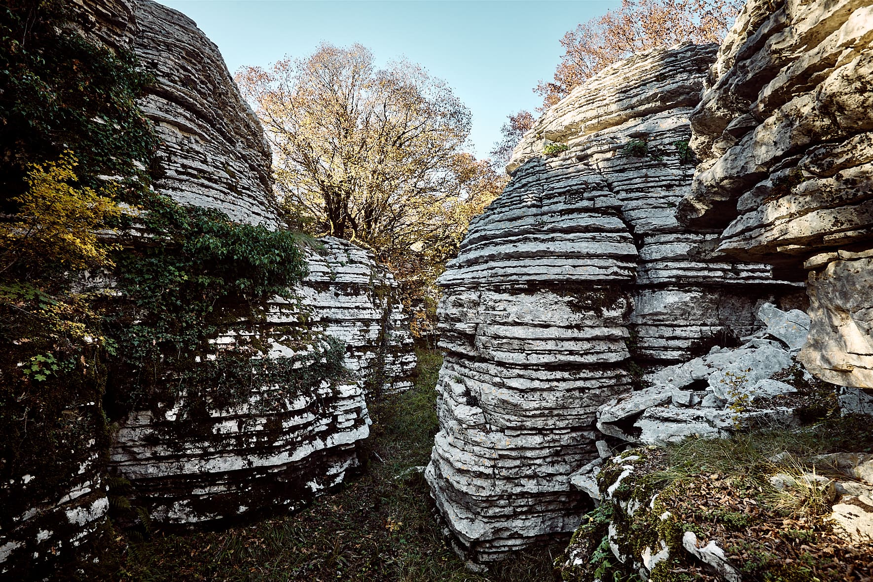 La forêt de pierre d'Oxia près de Monodendri