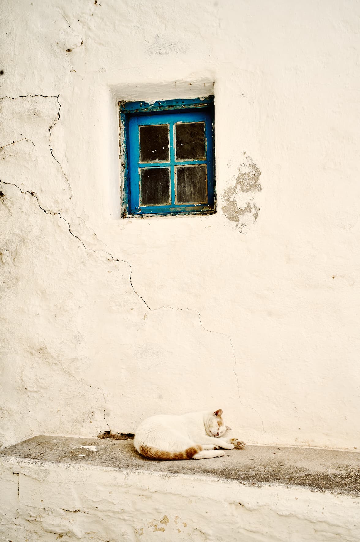 Un chat endormi dans la Chora
