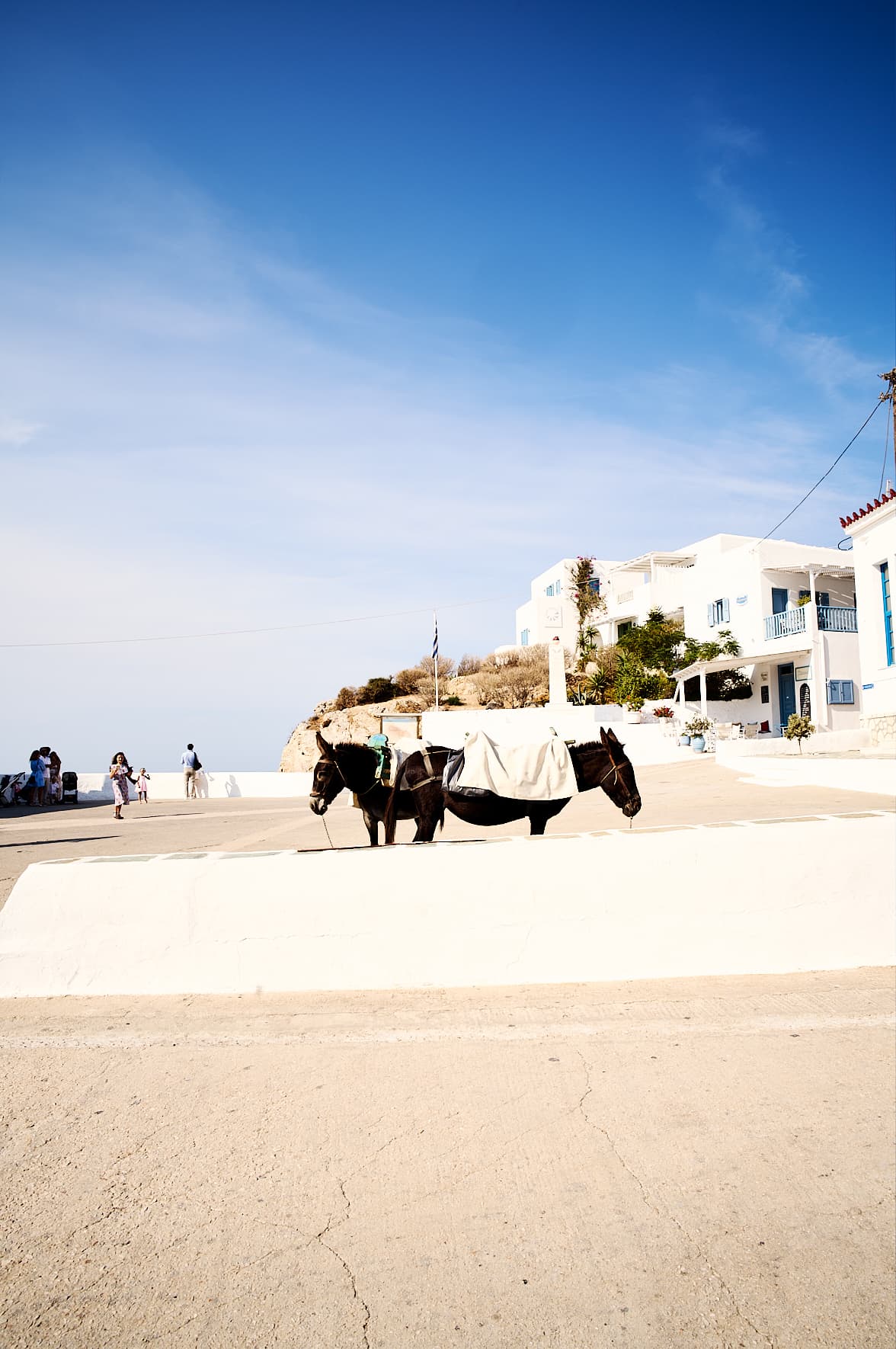 Âne sur une place de chora