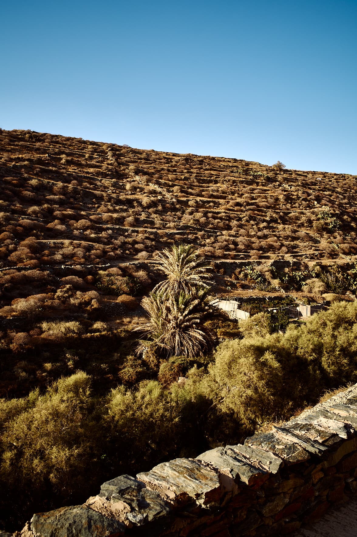 Spina à Folégandros