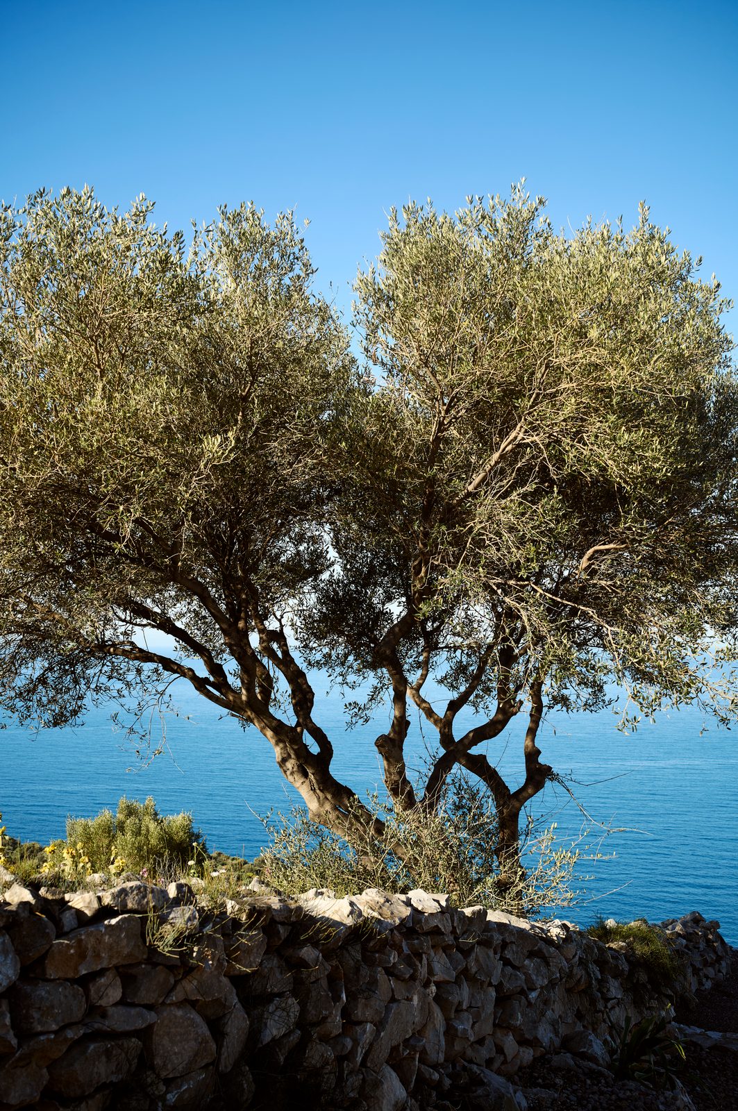Bassa Maina & Aria Estate à Aréopoli, Magne