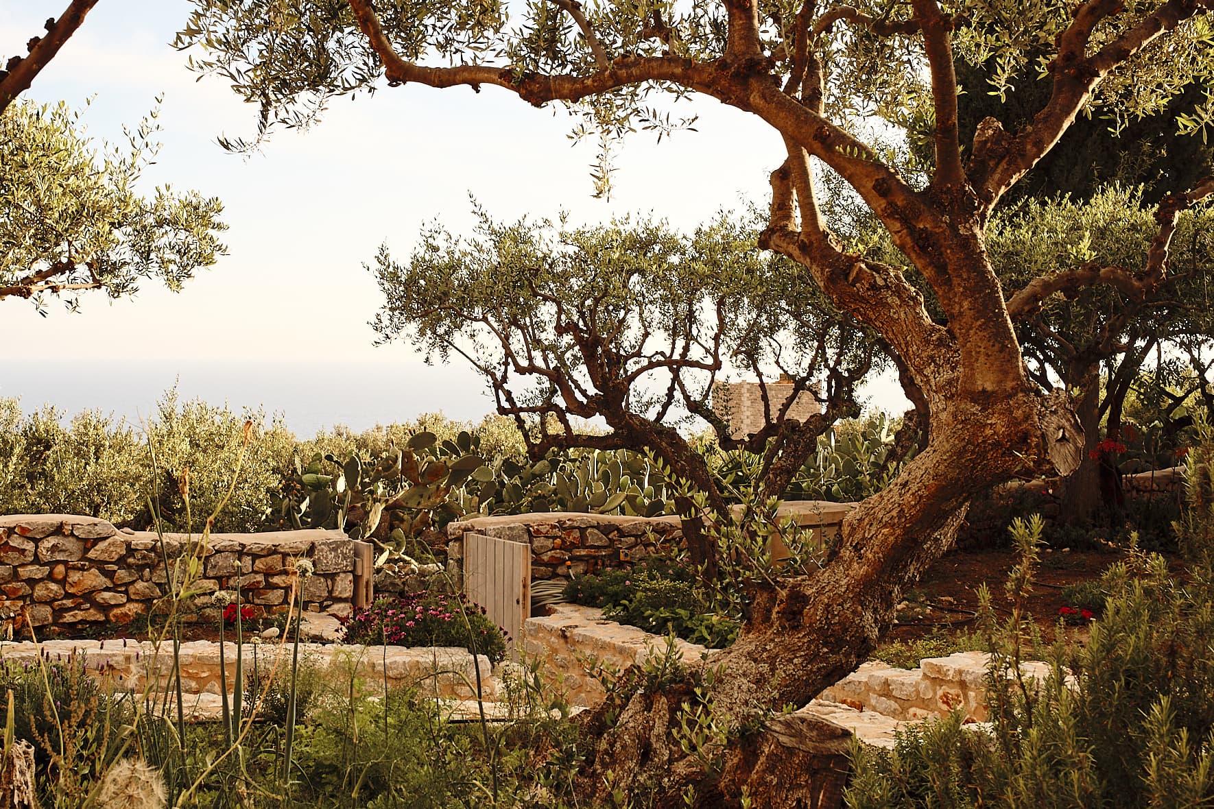 Hôtel Antarès à Aréopolis, Magne, Grèce