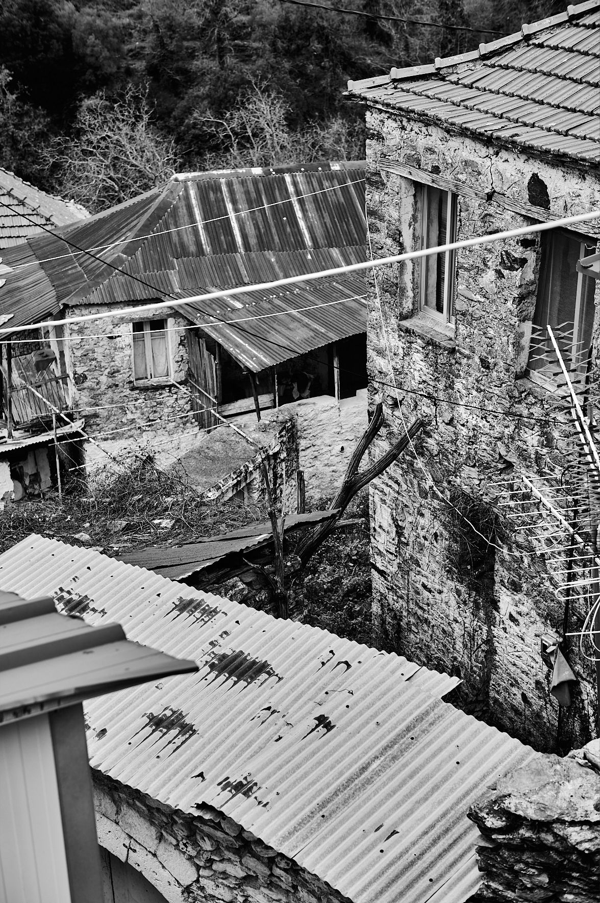 Le Carnaval de Nedoussa