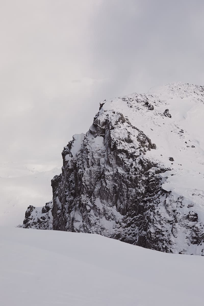 Un tour dans le Parnasse 