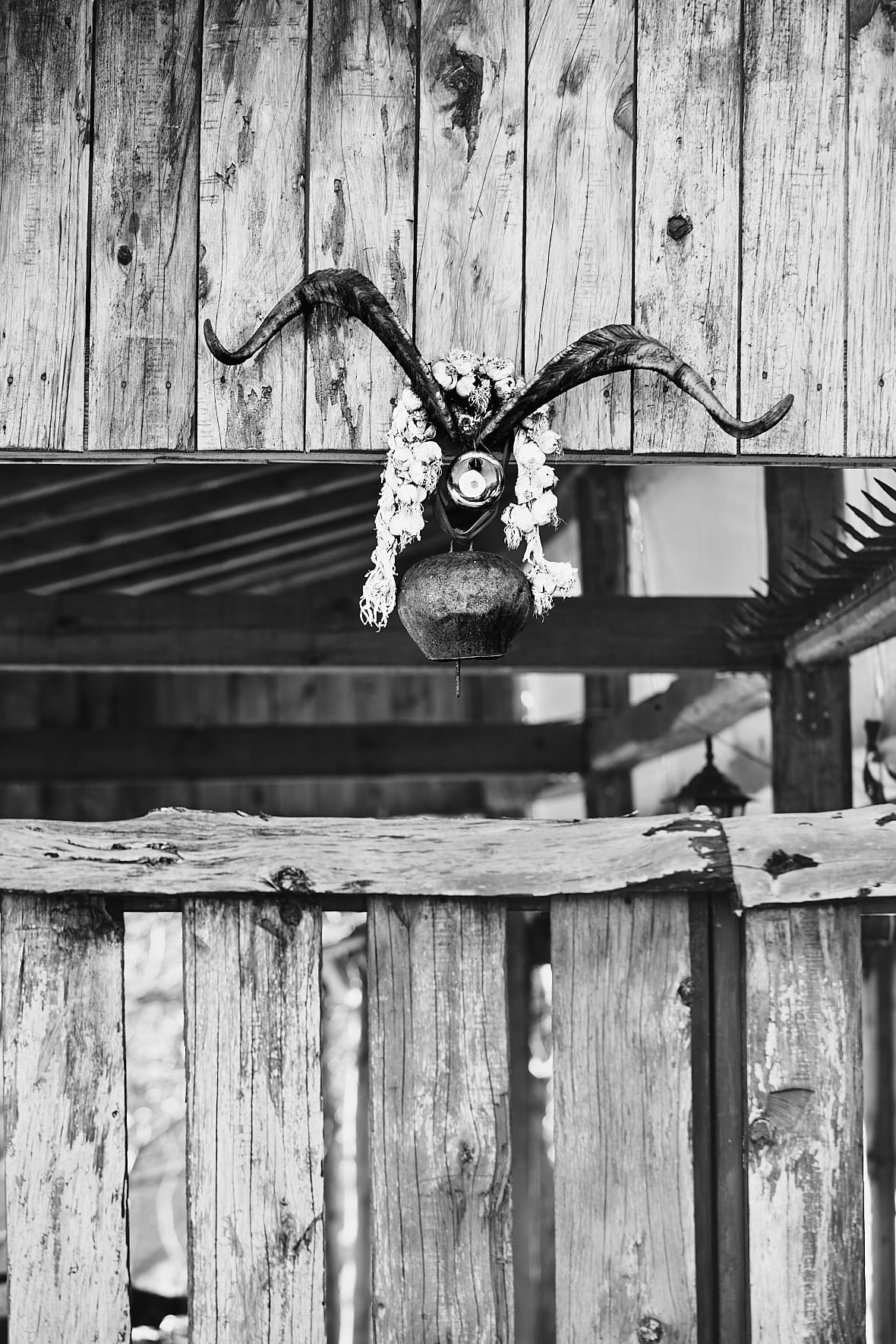 Bergerie, Mont Parnasse