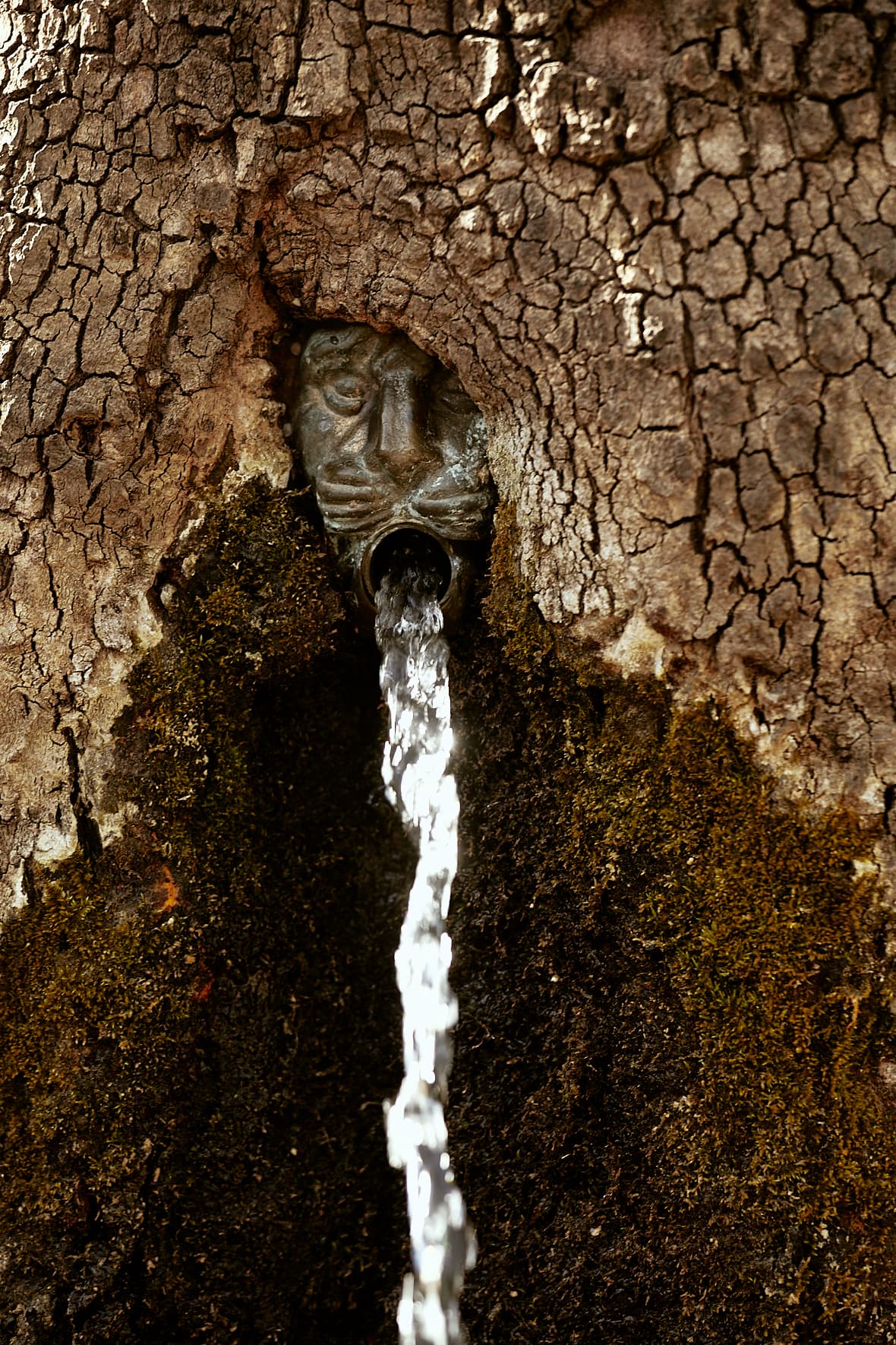 Fontaine à Eptalophos