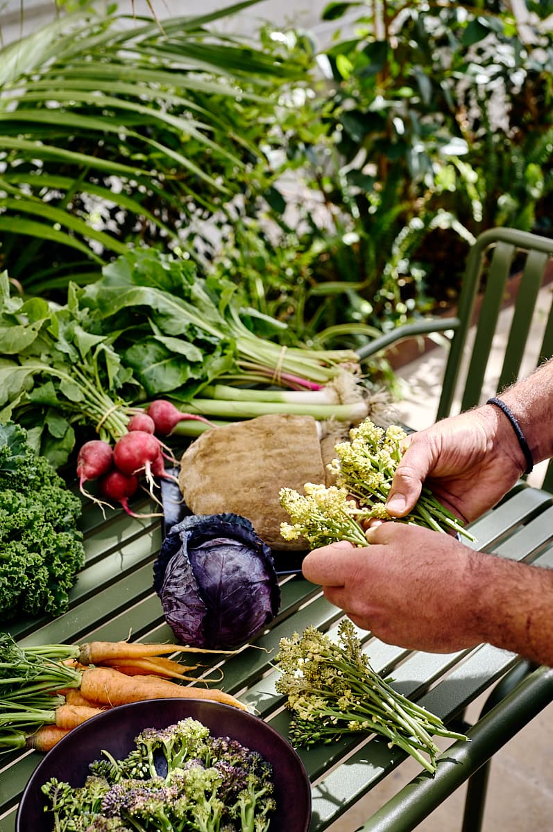 Grèce, Une table à la ferme