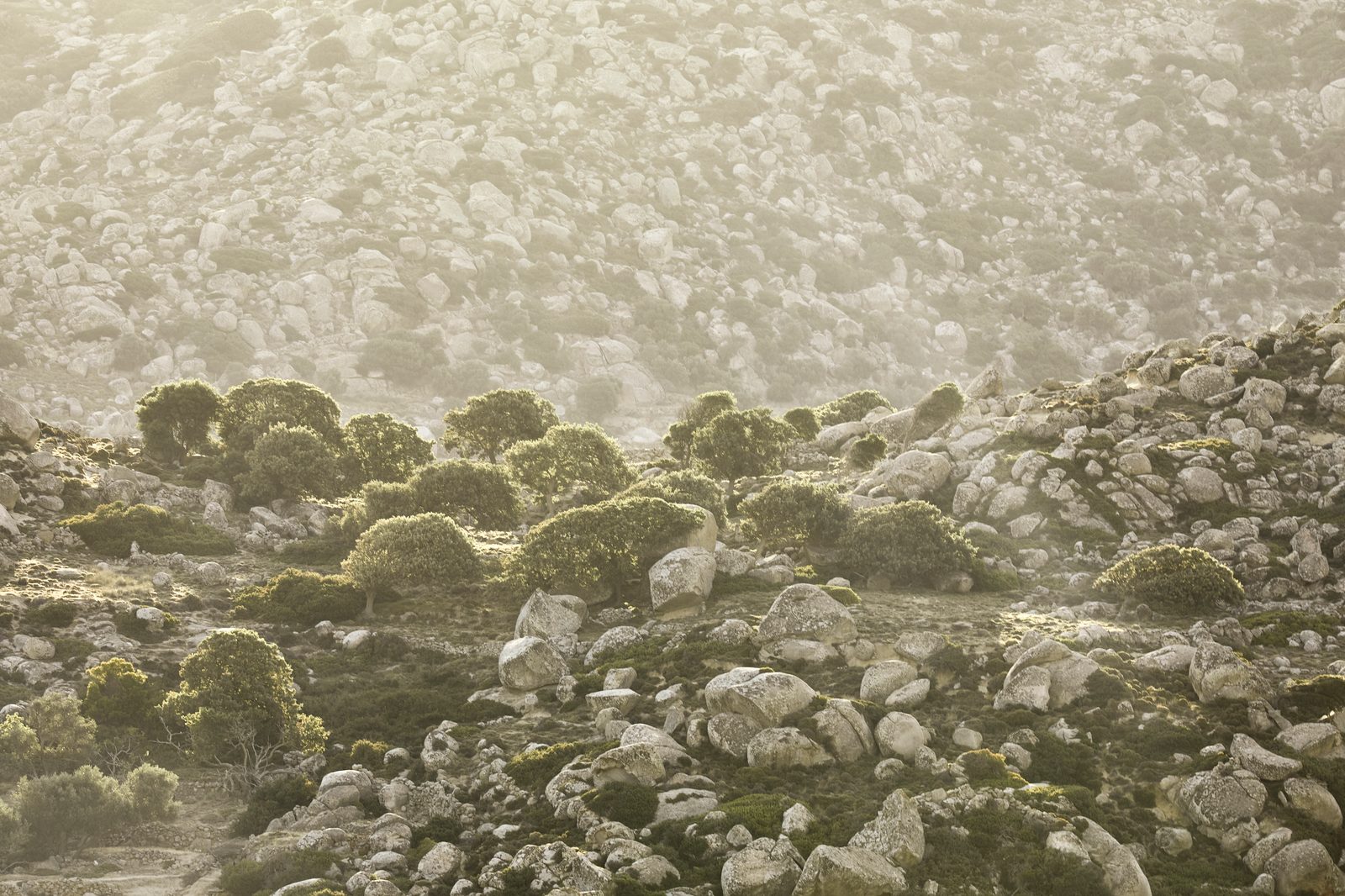 Paysage près de Volax, Tinos