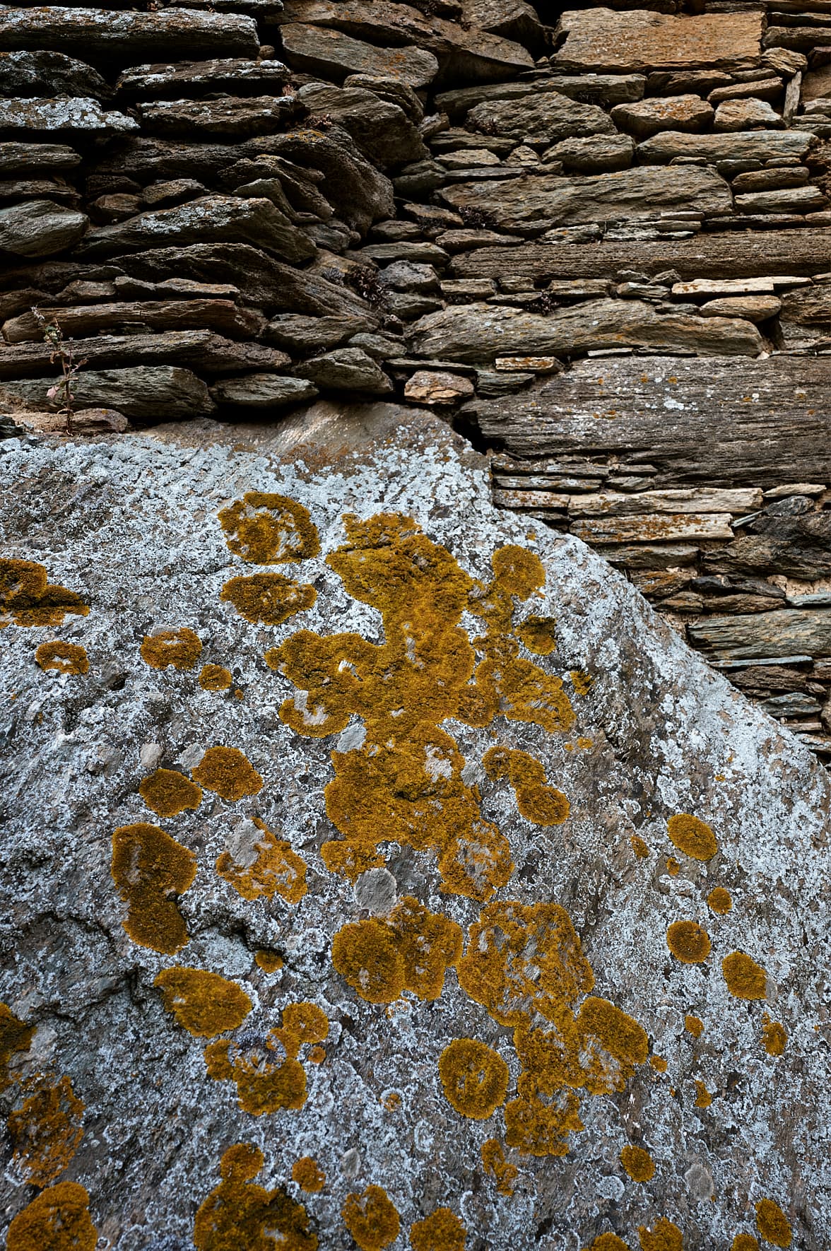 Ktima Lemonies, Andros, Cyclades, Grèce